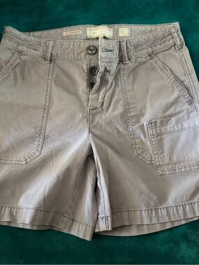 Anthropology The Wanderer Light Taupe Button-Front Shorts